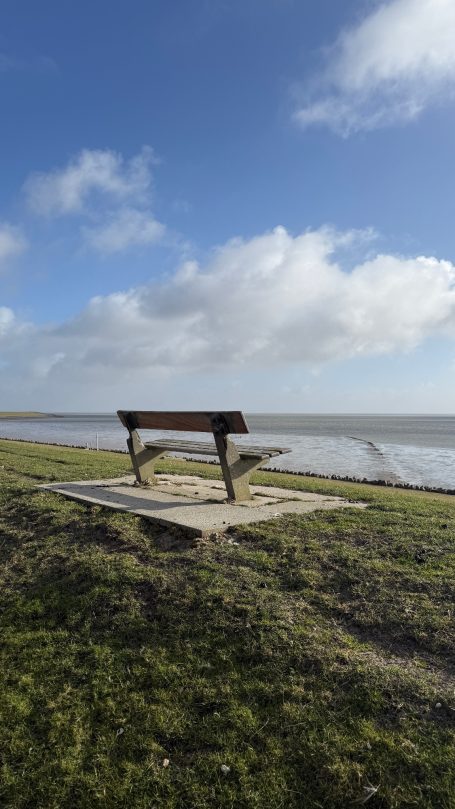 Meerblick Bank Pellworm Holzbank mit Blick auf die Nordsee auf Pellworm bei blauem Himmel