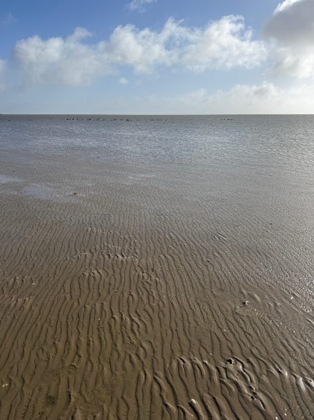 Wattstrukturen - Pellworm Strukturen im Watt bei Pellworm bei Ebbe mit Blick auf die Nordsee